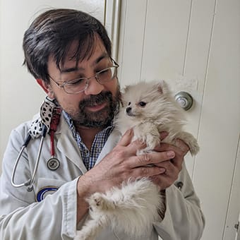 Dr. Andrew Scott, Placentia Veterinarian